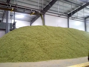 granular sulfur