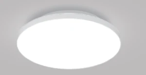 led ceiling/pendant lights floria