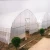 Import Hot Sale Good Quality Film 150 Micron Greenhouse Plastic For Agriculture from China