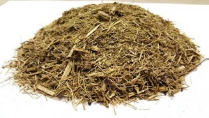 Sugarcane Bagasse Bio-Waste For Livestock Feed in Wholesale