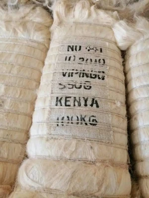SSUG Grade Sisal Fiber – High-Tensile Natural Fiber for Industrial Use