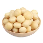 Best Export Premium Quality Macadamia Nuts for Export  Best Kernels Natural Healthy Organic Wholesale