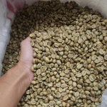 Robusta Coffee Wholesale Supplier cheap