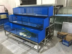 Modern Custom Aquarium DINGJU Fish Tanks Vertical Big Water Large