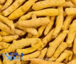 Turmeric Finger