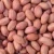 Import Groundnut seeds from Nigeria