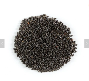 Organic Ocimum basilicum Seeds /Sweet Basil Seeds on Sale