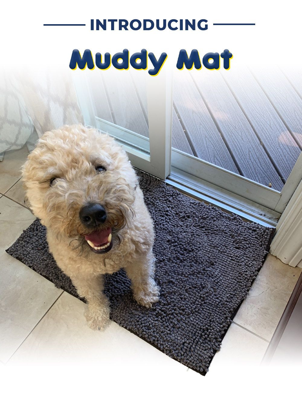 Buy Muddy Mat Luxurious Floor Door Mat from Catch Creation LLC, USA