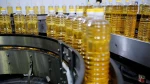 Sunflower Oil (bottled and in bulk)