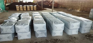 Cocopeat in Polybag
