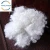 Import Hollow conjugated fiber best quality best price from Vietnam