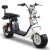 Import EEC Dual Battery US Warehouse Electric Motorcycle Scooters with Two Seats from China