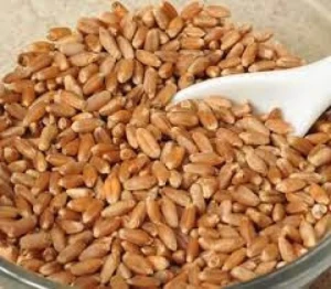 Soft Milling Wheat Grain