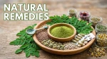 Moringa Powder