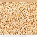 Top Class Sesame Seeds For Extracting Oil