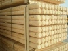European softwood (pine, spruce). Peeled posts