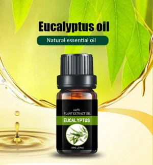 Eucalyptus Oil, Pure Essential Oil