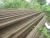 Import USED RAILS from United Kingdom