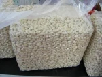 100% Organic Cashew Nuts/ Organic Cashews/ Unshelled Cashew