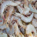 Whole Frozen Fresh Shrimp OEM Box Style Packaging Black Tiger Prawn IQF Fried Shrimp Seafood