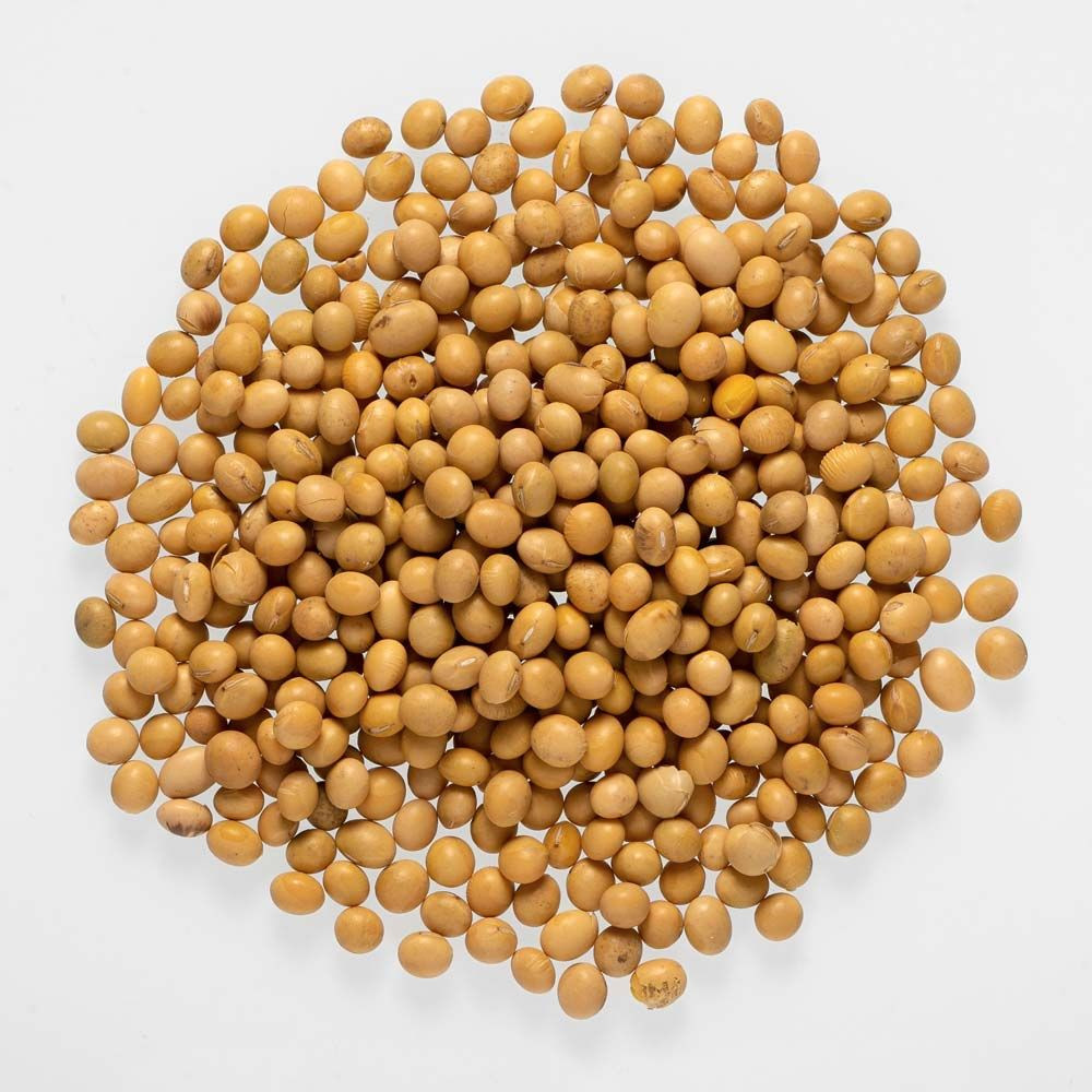 Buy Soybean Seeds