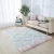 Import White 2*3ft Polyester Area Rug Home Rugs from China