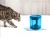 Import Automatic water dispenser for cats from China