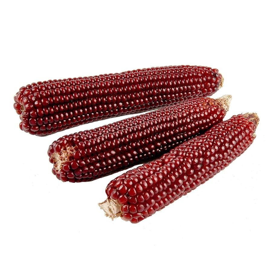 Buy Non-gmo Red Maize – Bulk Supply For Feed Mills & Food Industry from ...
