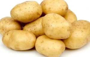 Russet potato