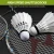 Import Carbon And Aluminum Integrated Badminton Racket With Three Duck Feather Shuttlecocks from China