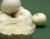 Import Dehydrated Onion Powder from India