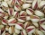 Import best quality pistachio from Iran