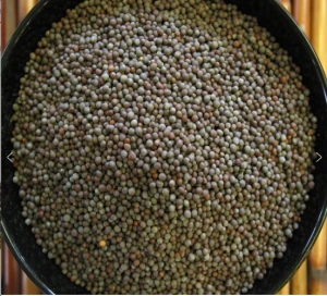 Wholesale Dried Mustard Seeds