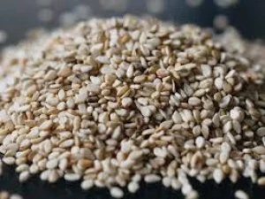 Direct Factory Price White Natural Sesame Seeds White Sesame Seeds International Price Raw White Sesame Seeds