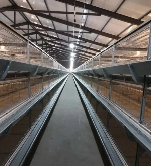 broiler cage equipment