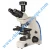 Import A-2i biological microscope from China