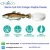 Import 100% Food grade Marine cod Fish bulk collagen for nutritive supplements from China