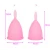 Import 100% Medical Grade Silicone Menstrual Cup for Female Organic Menstrual Copa from China