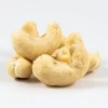 100% Natural Raw Cashew Nuts From Thailand All size High quality Cashew Nut Wholesale