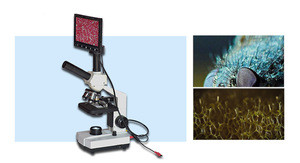 Microscope Blood Cell Machine Buy 10inch Hd Cell Biological Microscope One Drop Of Blood Test ...