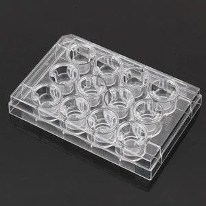 12 Cell Culture Inserts+12 Well Plate 8um PC Non-Treated Sterile