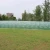 Import 15x3x2m giant greenhouse agriculture from China