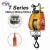 Import 160kg to 500 kg electric wire rope hoist crane from China