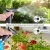 Import 1L Electric Watering Can High Pressure Garden Sprayer with CE Approved, Indoor Outdoor  Household Cleaning and Disinfection from China