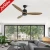 1stshine 52 Inch 220V Multifunction LED Ceiling Indoor Fans with Remote Control Ceiling Fan with Light