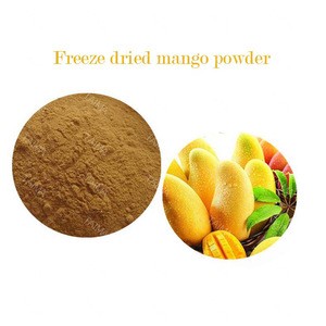 2017 Best Selling Freeze-dried Mango Powder From Dried Fruit