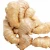 Import 2019  Organic fresh ginger Thailand  /slim ginger from Philippines