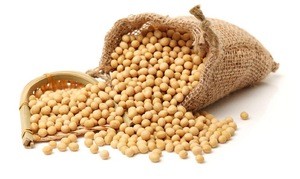 2020 Premium Quality Soybean Seed Organic Cultivation Type Dried Bulk Soybean Seed Non-GMO  Soy bean