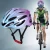 Import 2021 Hot Selling Bicycle Gradient Helmet Breathable and Sweat-Absorbing Bike Helmet from China