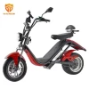 2021 New Design Electric Scooters Motorcycle Adult Two Wheels Citycoco 1500W